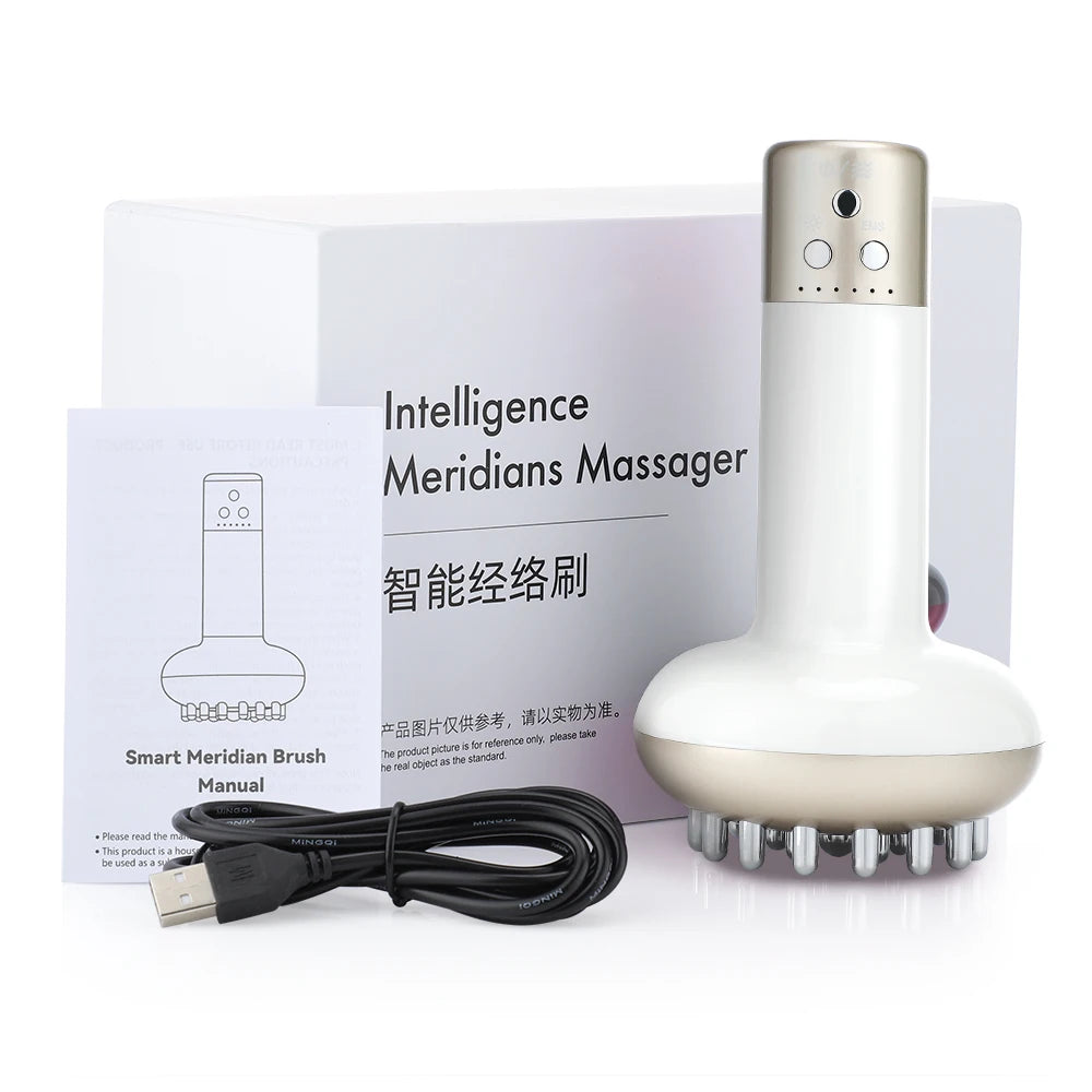 Brosse méridienne de Massage électrique, Anti-Cellulite, masseur corporel Guasha, lumière rouge, Vibration à microcourant, Machine de Drainage lymphatique
